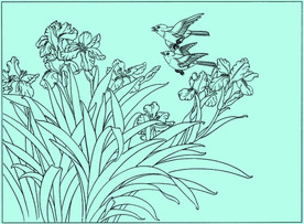 蝴蝶兰线描 蝴蝶兰白描 蝴蝶兰