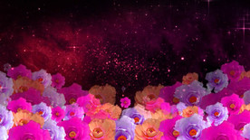 花儿为什么这样红