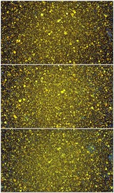 闪烁的金子背景