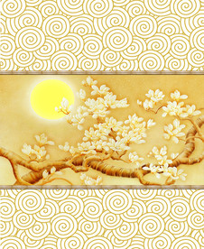 花边花纹 移门设计