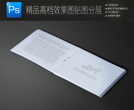 通用高档画册封面展示样机