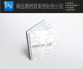 高档PVC透明磨砂笔记本样机