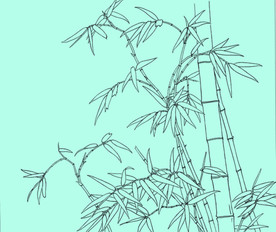 竹子线描 竹子白描 竹子素描