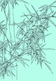 竹子线描 竹子白描 竹子素描