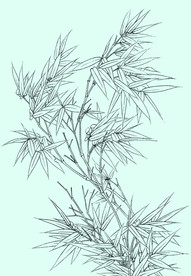 竹子线描 竹子白描 竹子素描