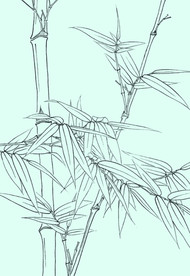 竹子线描 竹子白描 竹子素描