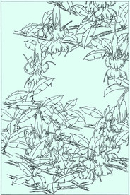 曼陀罗线描 曼陀罗白描 曼陀罗