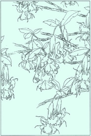 曼陀罗线描 曼陀罗白描 曼陀罗