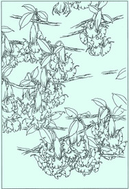 曼陀罗线描 曼陀罗白描 曼陀罗