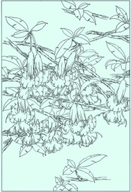 曼陀罗线描 曼陀罗白描 曼陀罗