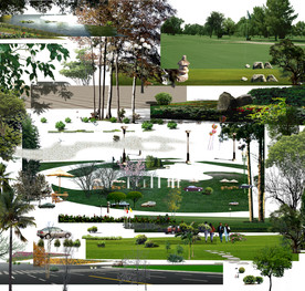 园林植物分层图集