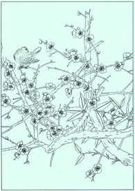 梅花线描 梅花白描 梅花素描
