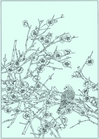 梅花线描 梅花白描 梅花素描
