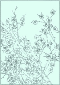 梅花线描 梅花白描 梅花素描