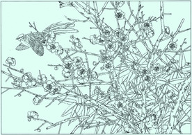 梅花线描 梅花白描 梅花素描