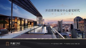 豪宅 地产 广告