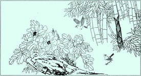 牡丹花线描 牡丹花白描 牡丹花