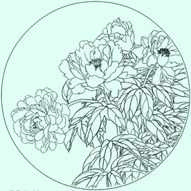 牡丹花线描 牡丹花白描 牡丹花