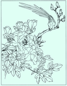 牡丹花线描 牡丹花白描 牡丹花