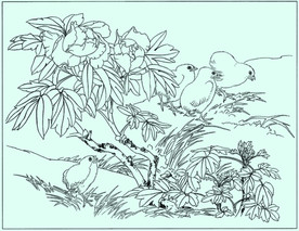 牡丹花线描 牡丹花白描 牡丹花