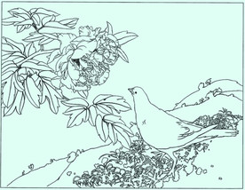 牡丹花线描 牡丹花白描 牡丹花