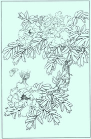 牡丹花线描 牡丹花白描 牡丹花
