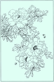 牡丹花线描 牡丹花白描 牡丹花