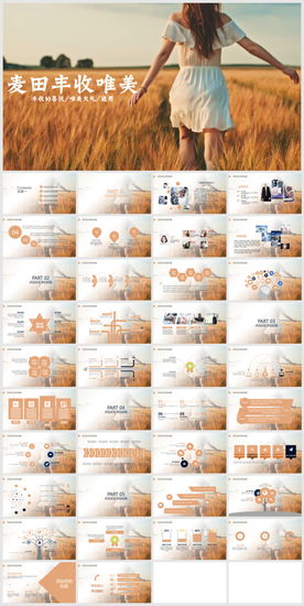 唯美清新麦田汇报总结商务PPT