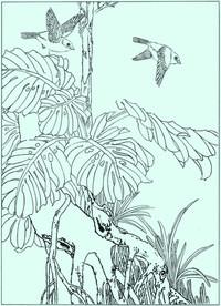 竹子线描 竹子白描 竹子素描