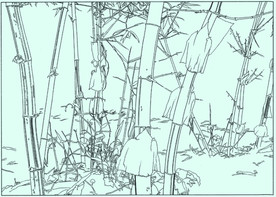 竹子线描 竹子白描 竹子素描