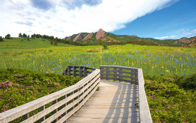 木栈道城堡风景3D背景墙壁画