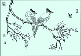 凤头雀线描 凤头雀白描 凤头雀