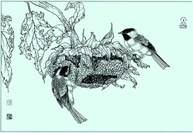 野山雀线描 野山雀白描 野山雀