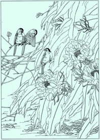 银喉长尾山雀 线描 白描 素描