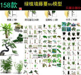 芭蕉荷花迎客松竹子模型