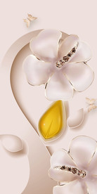 3D珠宝花卉玄关装饰画