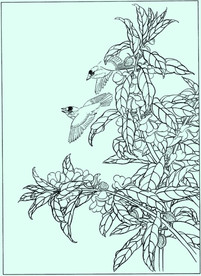 花鸟线描 花鸟白描 花鸟素描