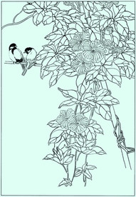 花鸟线描 花鸟白描 花鸟素描