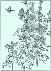 花鸟线描 花鸟白描 花鸟素描