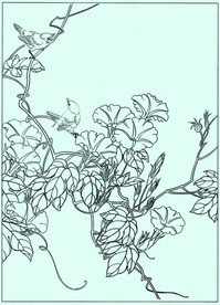 花鸟线描 花鸟白描 花鸟素描