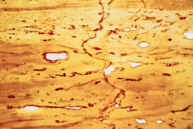 意利金 大理石纹理贴图素材