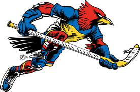 冰上曲棍球比赛