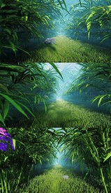 3D森林草丛穿梭