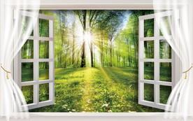高清3D窗外风景森林背景墙壁纸