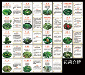 花草简介牌 值物介绍牌