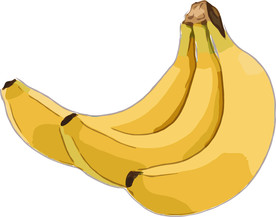 香蕉 矢量手绘素材