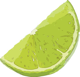 柠檬 矢量手绘素材