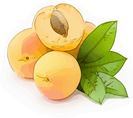 桃子 矢量手绘素材