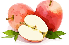 苹果 矢量手绘素材