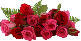 玫瑰 矢量手绘素材